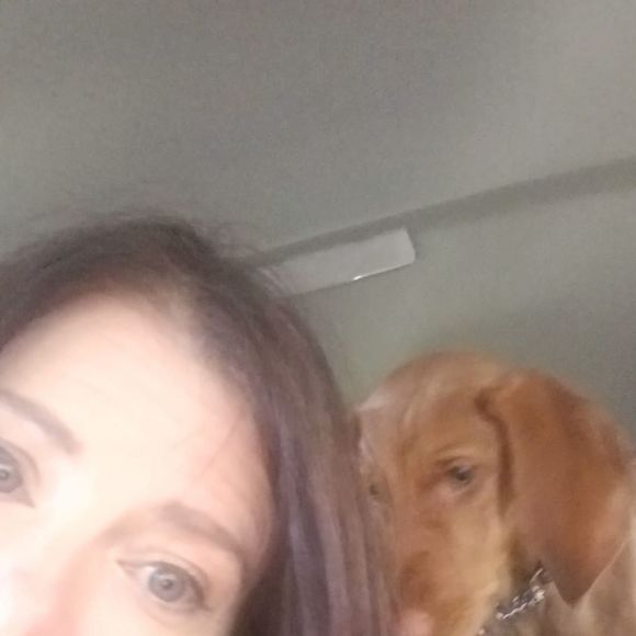 Meet your Posher, Gillian - Picture 1 of 1